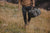 Mens Weekender Bag