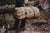 Unique Personalized Camping Canvas Duffel Customized Duffle Bag Gifts for Men by Groovy Guy