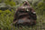 Duffle Bag Denali Duffel by Groovy Groomsmen Gifts