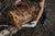 Duffle Bag Denali Duffel by Groovy Groomsmen Gifts
